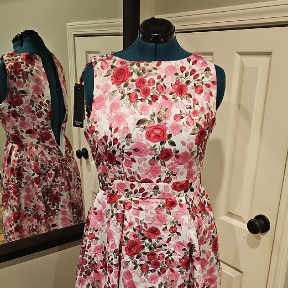 Elegant Pink and Red Sleeveless A-line Midi Dress - Picture 1 of 4
